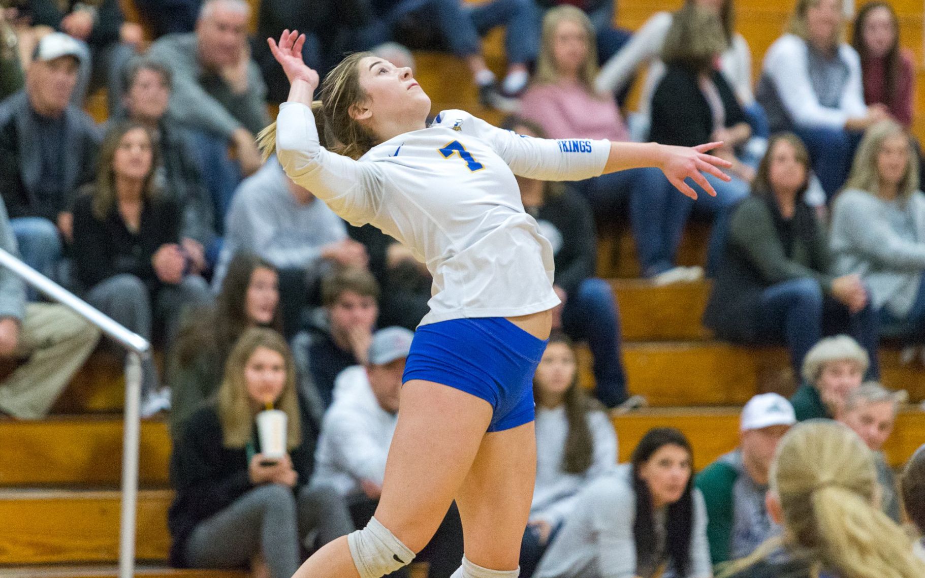 Class 4 District 7 girls volleyball championship
